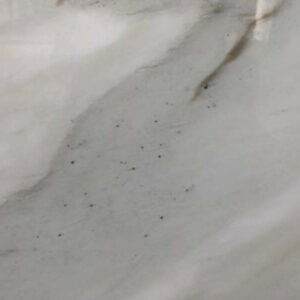 Calacatta Cremo Marble STW CALACR