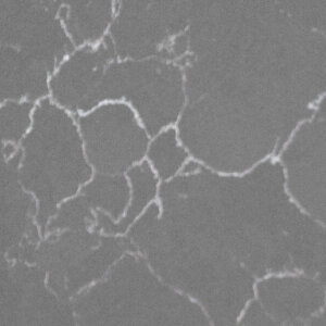 Ancient Grey Quartz ART-ANCGRE